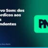 PNS Novo Som: dos tops nórdicos aos artistas independentes